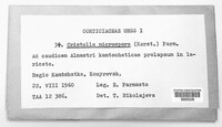 Image Associated With the Occurence